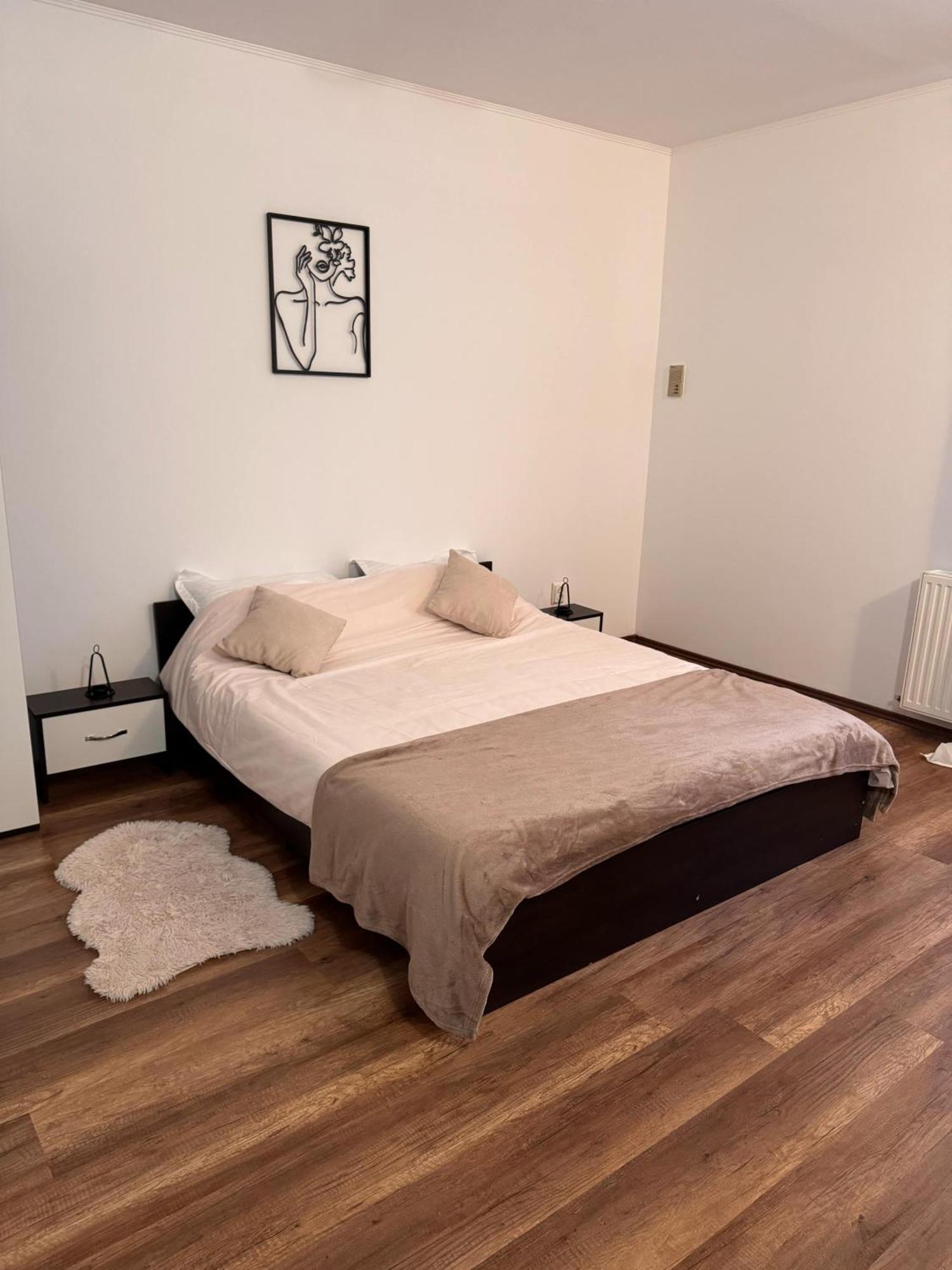 Madalina'S House Apartment Брашов Екстериор снимка