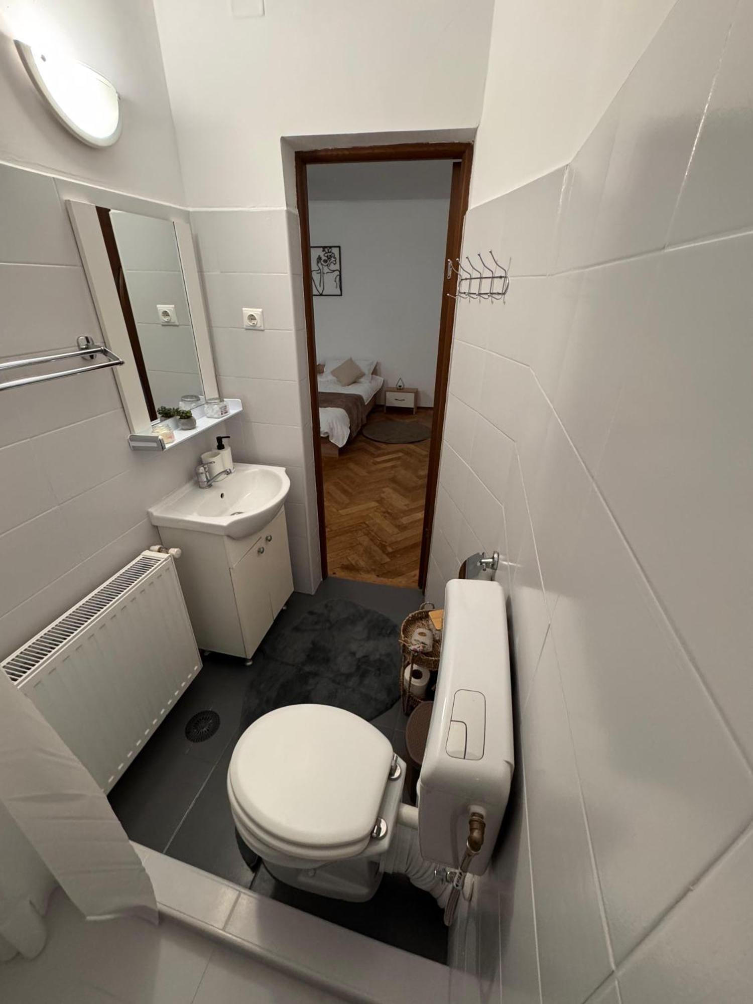 Madalina'S House Apartment Брашов Екстериор снимка